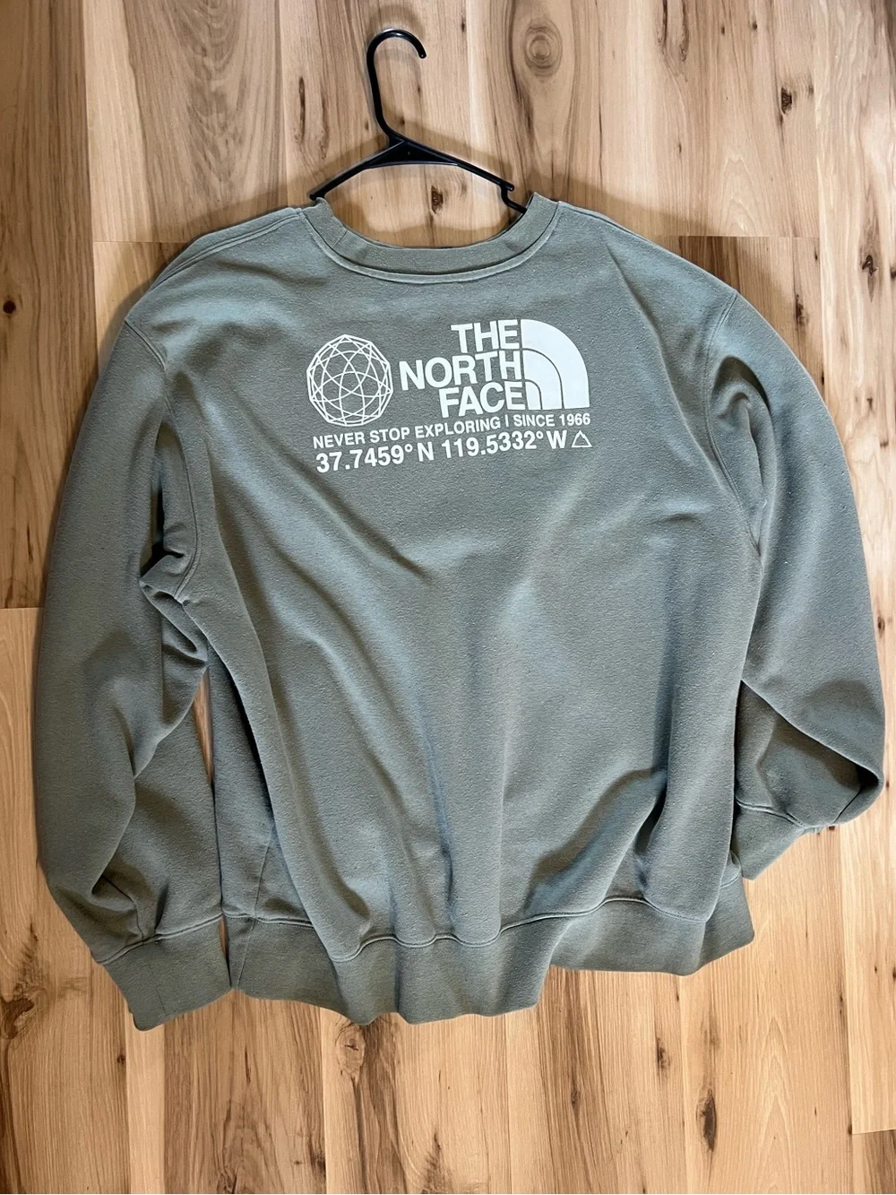 The North Face Coordinate Crewneck Sweatshirt Green with White Logo (Sage)